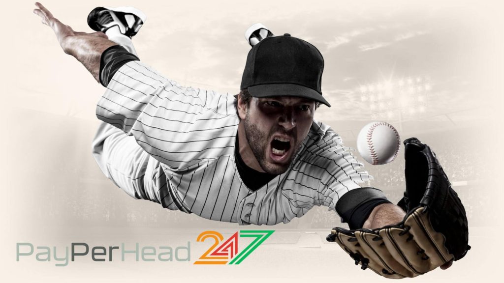 PayPerHead 247 MLB Odds