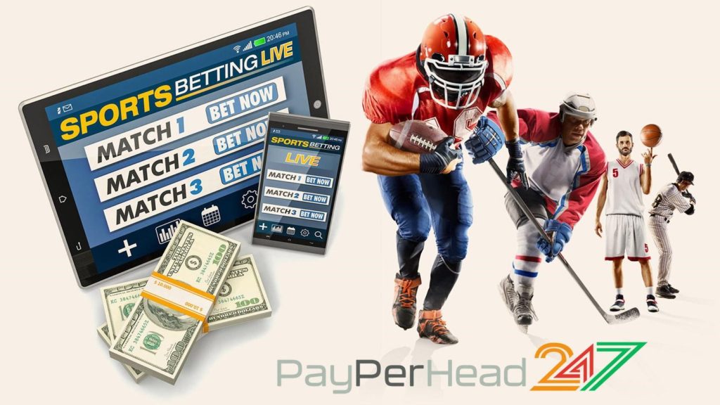 PayPerHead247